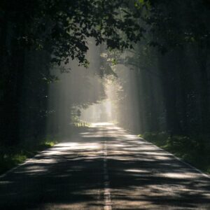 product3 free img.jpg